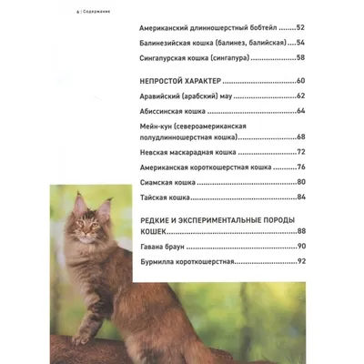 Все породы кошек. Большая иллюстрированная энциклопедия. Романов, Ярощук  А.И. — купить книгу в Минске — 