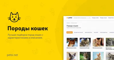 Породы кошек: список с фотографиями и названиями | WHISKAS®