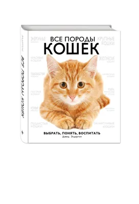 30 пород самых красивых 🐈 кошек в мире | Pet7