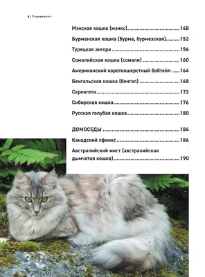 Все породы кошек. Подарочное издание (ID#1034352583), цена: 750 ₴, купить  на 