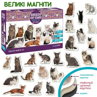 Все породы кошек Большая иллюстрированная энциклопедия