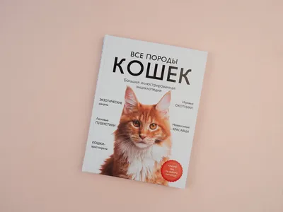 Породы кошек: список с фотографиями и названиями | WHISKAS®