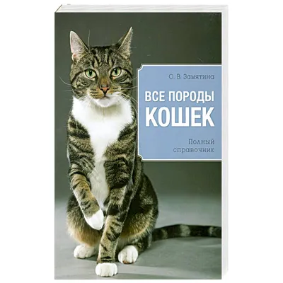 Все породы кошек. Большая иллюстрированная энциклопедия (Алина Ярощук) -  купить книгу с доставкой в интернет-магазине «Читай-город». ISBN:  978-5-04-113061-9