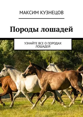 Сенатор заявил о вымирании уникальной породы лошадей в Казахстане |  Kazakhstan Today