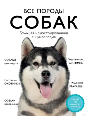 Все породы собак. Большая иллюстрированная энциклопедия Галина Сула -  купить книгу Все породы собак. Большая иллюстрированная энциклопедия в  Минске — Издательство Эксмо на 