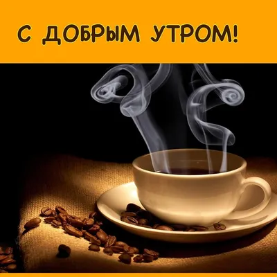 Мы все прекрасно знаем, какое место занимает намаз в жизни верующего.  Обязательность намаза для каждого верующего указана в Коране и в… |  Instagram