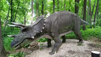 Куда пойти семье в Уфе на весь день – удивительный Парк Динозавров в сердце  города - 
