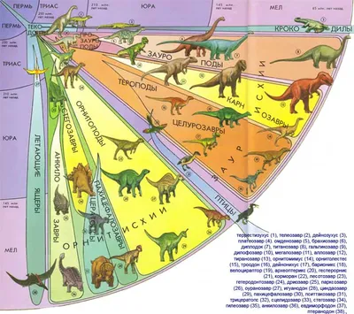 Динозавры онлайн dinosaurs, бесплатно динозавры хищные, фото динозавры  юрского периода, доисторические динозавры в картинках, самый большой  динозавр, виды динозавров энциклопедия, скелет динозавра, названия  динозавров эпоха, ихтиозавры, плезиозавры ...