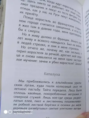 Васюткино озеро, Астафьев Виктор Петрович . Школьная программа , Стрекоза ,  9785995146032 2022г. 405,00р.