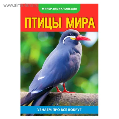 Мини-энциклопедия «Птицы мира», 20 стр. (2468839) - Купить по цене от   руб. | Интернет магазин 