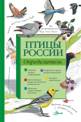 Самые известные перелётные птицы России! | Весь мир!🤗 | Дзен