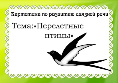 Все птицы из Красной книги России, которых мы встретили на Маныче | Птицы в  большом городе | Дзен