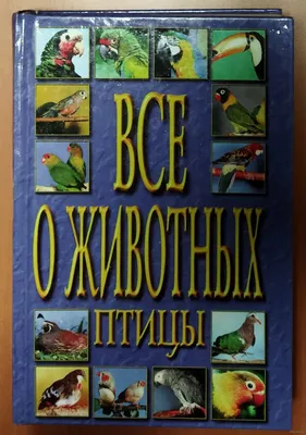 Книга. Все для детского сада. Такие разные птицы | Интернет-магазин  Континент игрушек