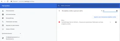 Как посмотреть куки в Google Chrome – инструкция