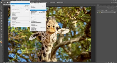 Как изменить цвет объекта в Adobe Photoshop – База знаний Timeweb Community