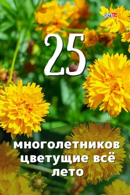 Картинки с надписью - Доброго, свежего утра! Все цветы мира для тебя.