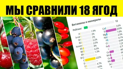 Новости ВсЁ Всё - Как заморозить клубнику, черешню и другие ягоды, ч... -  