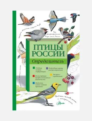 Птицы России Алексей Мосалов - купить книгу Птицы России в Минске —  Издательство АСТ на 