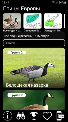 Птицы Европы PRO