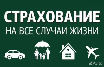 Все виды страхования в Пскове от надежного партнера — Справка 053 -  региональный портал Псковской области