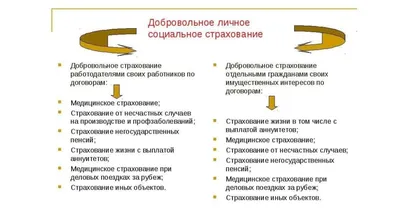 Ингосстрах страхование, правила страхования Ингосстрах в 2024 году