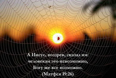 все возможно, что все фокусируется трудноработающая типографская фраза  Стоковое Изображение - изображение насчитывающей письмо, сообщение:  156356397