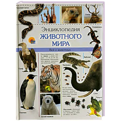 Животные. Все обитатели нашей планеты (Дэвид Элдертон) - купить книгу с  доставкой в интернет-магазине «Читай-город». ISBN: 978-5-04-169497-5