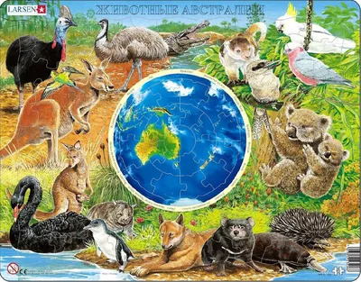 Сумчатые животные /// Эндемики Австралии (Часть 3) | Зелёный дол 🌱 | Дзен