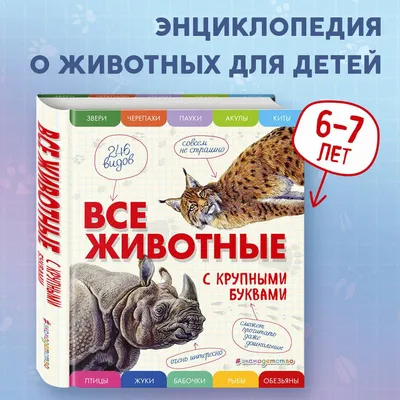 Самое маленькое животное в мире: как оно выглядит? | Приятно познакомиться,  Наука! | Дзен