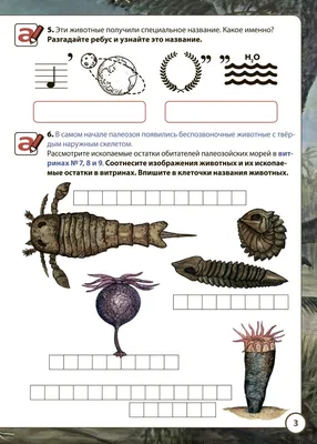 В мире древних животных (5-8 кл.) Государственный Дарвиновский музей