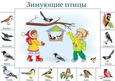 Где зимуют птицы? " Открытый урок по окружающему миру в 1 классе .