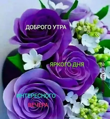 Всего самого доброго | Emoji pictures, Good morning images, Good morning gif