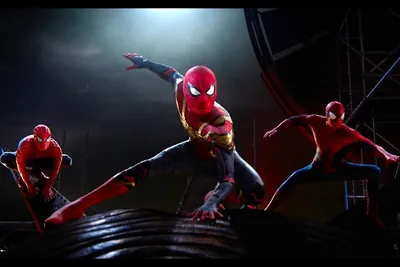 Sony выпустила спойлерные кадры «Человека-паука: Нет пути домой» -  Рамблер/кино