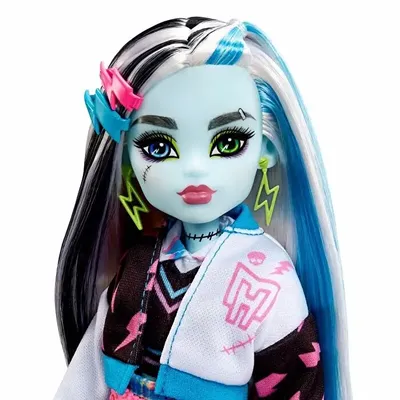 Куклы Монстро-ярмарка Монстер Хай (Monster High Ghoul Fair CHW69) - купить  в Украине | Интернет-магазин 