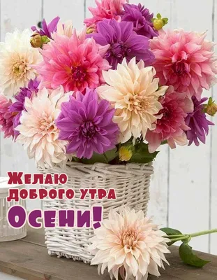 🌸 Доброе утро ☀️друзья ☺️ ☺️ Ждём всех ежедневно с  до   ❤️ТЦ"Копейка" 😇"КупиМама" @kupimama_kopeika @kupimama_kokshetau… |  Instagram