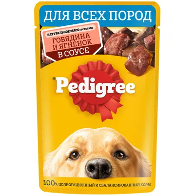 Тамбовчан приглашают 2 сентября посетить Всероссийские выставки собак всех  пород | ИА “ОнлайнТамбов.ру”