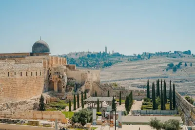 Как цветок из всех цветов": в сети показали, как Иерусалим выглядит из  космоса - новости Израиля и мира