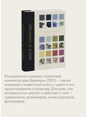 Купить открытка Мир поздравлений А4 в ассортименте (дизайн по наличию),  цены на Мегамаркет | Артикул: 100057136708