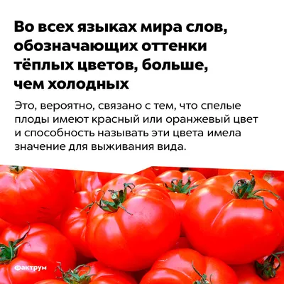 Цвет в природе. Коллекция красок окружающего мира Патрик Бейти, Питер  Дэвидсон, Андре Карличек, Джулия Симонини, Элейн Чарвот - купить книгу Цвет  в природе. Коллекция красок окружающего мира в Минске — Издательство Манн,