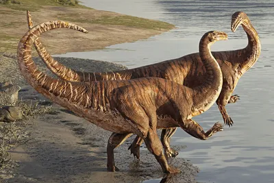 Парк юрского периода»: можно ли воскресить динозавров? — Dino Farm