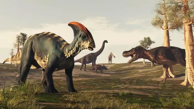 Единороги и "поющие" динозавры: кто обитал на территории России —   — Статьи на РЕН ТВ
