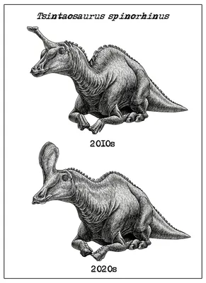 10 видов динозавров, которые ярче всего изменились за последнее десятилетие  | Пикабу