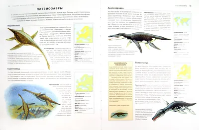 Динозавры: история, эволюция и вымирание» — создано в Шедевруме