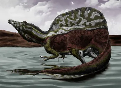 Купить Динозавр-липучка, 5 видов в интернет-магазине Мир динозавров
