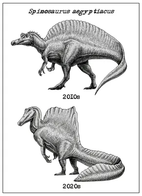 10 видов динозавров, которые ярче всего изменились за последнее десятилетие  | Пикабу