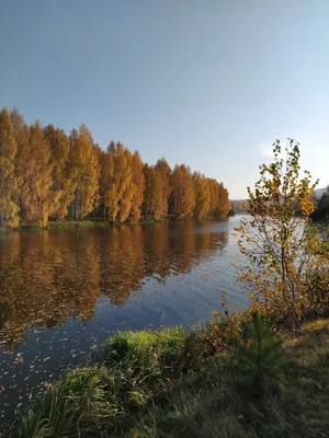 Не нужен мне берег турецкий...Красота уральской природы. Одно и тоже место  в разные времена года | УРАЛОЧКА. Всё интересное рядом | Дзен