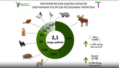 Все виды животных в одном, …» — создано в Шедевруме