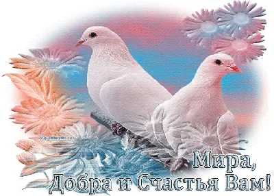/mira-schastya-i-dobra-vam/ | Детеныши животных,  Счастье, Мир