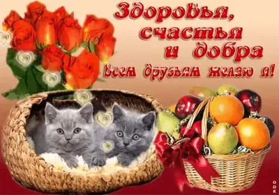 ❏♥❏ Всем мира и добра ❏♥❏ ~ Открытка (плейкаст)