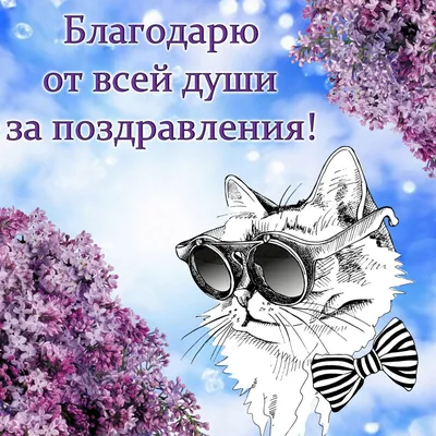 ОльгаЖива-Психолог - Спасибо всем за поздравления с днём рождения внучки  Авроры. Мне было очень приятно. Если кого-то не поблагодарила лично - не  обижайтесь! Очень уж насыщенные выдались дни. #ольгажива  #ольгажива_психолог #яжелаювсемсчастья |